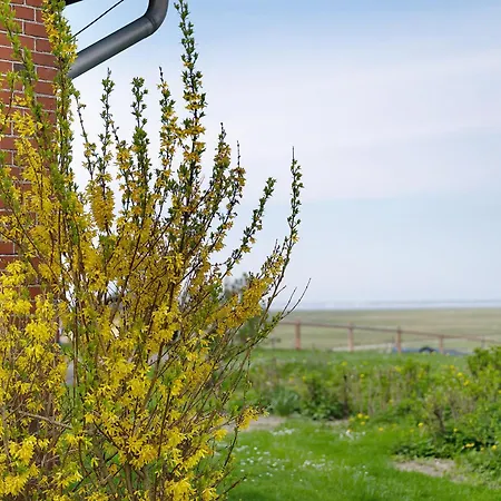 Apartamento Gaestehaus Tadenswarf *