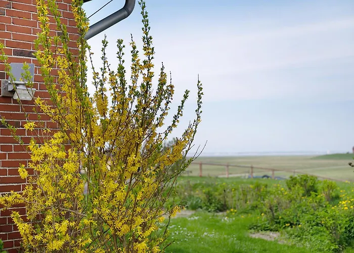 Appartement Gaestehaus Tadenswarf *